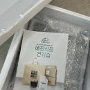 예진식품 숙성칡즙 생칡 갱년기 간건강 칡즙 추천
