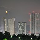 락준정신 이미지