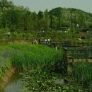 푸른수목원 이미지