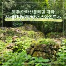 제주 4·3 수악주둔소 | 한라산둘레길 신례천생태탐방로 근처 제주 4·3수악주둔소