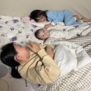 11650-14-48-7 | 158cm 48kg 정상체중 내돈내산 마운자로 2.5mg 한달 후기 -5kg