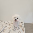 보리미용실 이미지