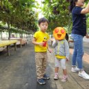 봉기농장 이미지