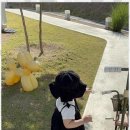 키즈스테이