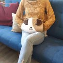주식회사 청연 - 양주시 | 주식회사 청연