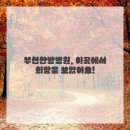 편안한방병원 이미지