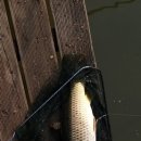 도채낚시터 이미지