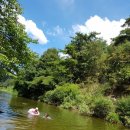 대추나무집 이미지