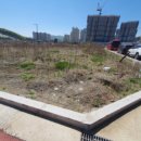 송정동-12 이미지