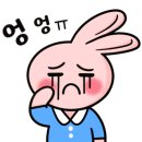 릿따 스타일 이미지