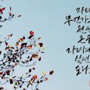초록연금술사