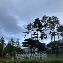 거제필하모닉 오케스트라 Classic Concert | 부산의 새로운 랜드마크, 부산콘서트홀 방문 후기