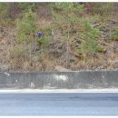 소구니 마을회관 이미지