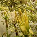 고순희 농장 이미지