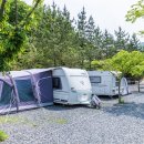 전원오토캠핑장 이미지