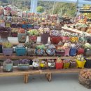 오늘나의정원 이미지