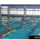 유성구종합사회복지관 수영장 이미지