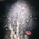 삼기농장 | &lt;유코 히구치 특별전: 비밀의 숲&gt;, 더현대 서울 전시회 후기(구스타브, 할인, 고양이 보리스)