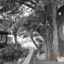 대흥1리 마을회관 이미지