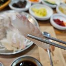 남해횟집 | [부산/괴정]내돈내산 괴정횟집 회정식이 유명한 남해달인횟집 솔직후기