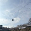 청풍낚시 - 제천시 용두천로 18 | [제천ㅣ여행] 충청북도 제천 주말여행 가볼 만한 곳 청풍호 벚꽃 구경 ‘청풍 호반 케이블카’