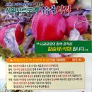 설맞이 밀양얼음골사과 선물용 5kg 15과 할인 (종료) 이미지