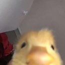 지비츠카페 이미지