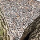 가창초등학교 이미지