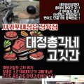 총각네애견 이미지