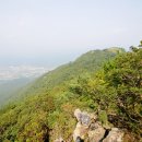 철마산 조망 이미지