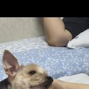 향촌동생고기육회 이미지