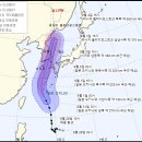 살펴봄 이미지