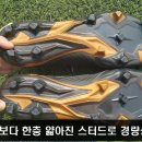 엑스던 | [축구화 리뷰] 아디다스 프레데터18.1(Predator) FG - 바로매치 제공