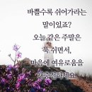 소중한 사람들과♡알콩달콩 소통방송~♫{오늘밤 8시~} 이미지