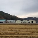 포에버농장 이미지