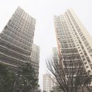 탑플레이스배곧 네이버블로그
