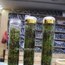 백화할인마트 이미지