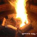 한우마마