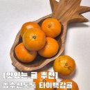제주농수산 | 올해 먹은 귤 중 최상! 제주타이백감귤 농수산톡톡 솔직 후기