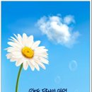 필 하우스(FILL HOUSE) 이미지