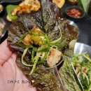 초록슈피아캠핑장 이미지