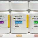 인천동물심장내과 이미지