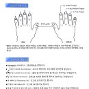 손가락 표기법과 용어해설 이미지