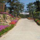 허브캐슬 네이버블로그