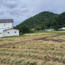 장승나라 소도 이미지