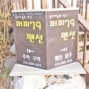 퍼피79 이미지