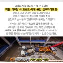 이수백보건진료소 이미지