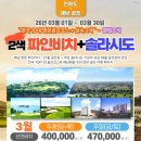 파인비치A 티스토리
