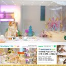 골든스웨터 캐터리 이미지