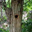 아담한 마을.. 이미지